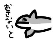 729122866