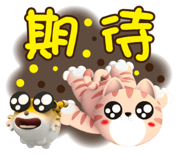 729162572