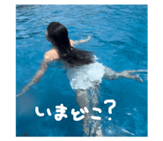 729164315