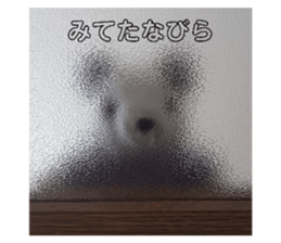 729184266