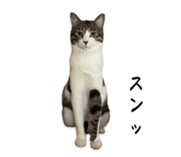 729228200