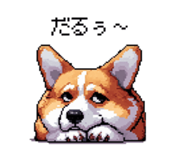 729251697