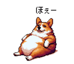 729251698