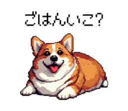 729251700