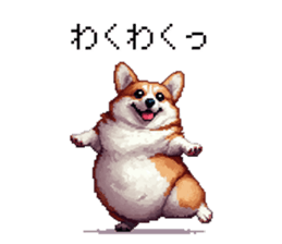 729251717
