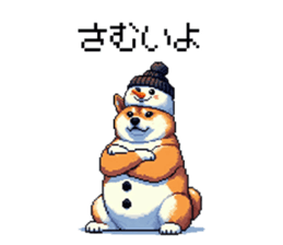 729252219