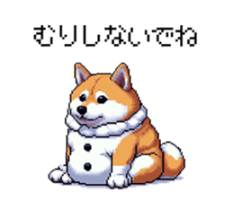 729252221