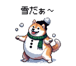 729252223