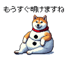 729252238