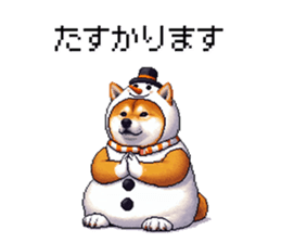729252246