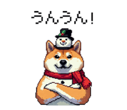 729252247