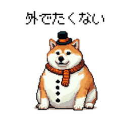 729252248