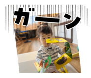 729281155