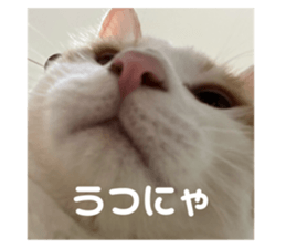 729336496