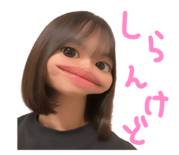 729363720