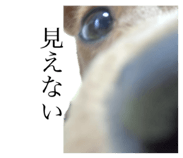 729366830