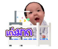729373443