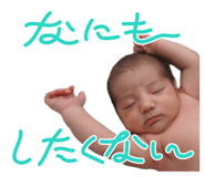 729373504