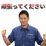 729406517