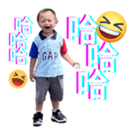 729409506
