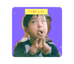 729413316