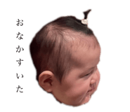 729424053