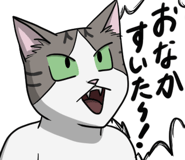 729430557