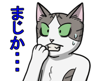 729430558