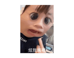 729431851