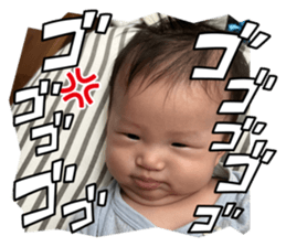 729434544