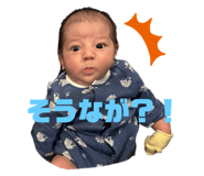 729453749