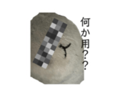729490490