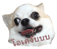 729508844
