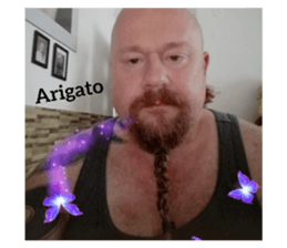 729511918