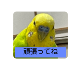 729512924