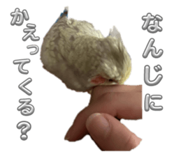 729513050