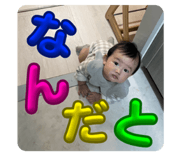 729515557