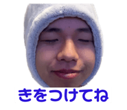 729516173