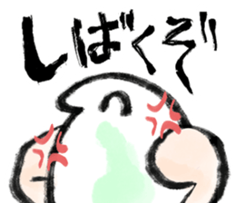 729520662