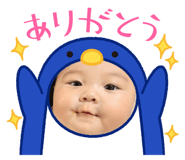 729522673