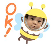 729522675