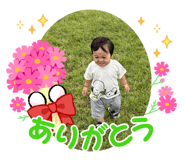 729522696