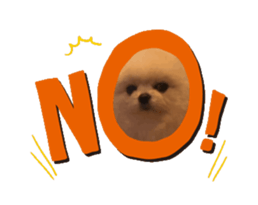 729534624