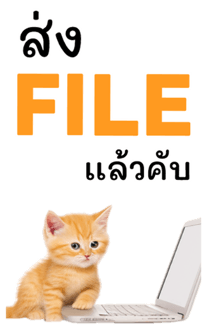 729542058