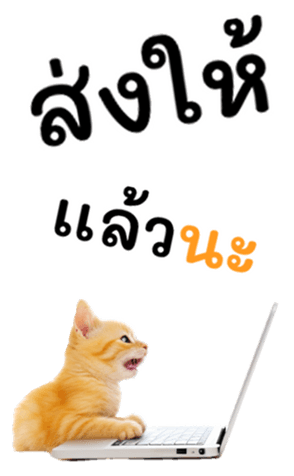 729542069