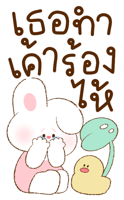 ลายที่ 13