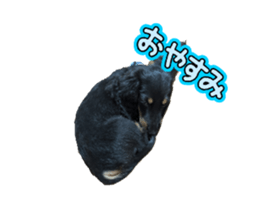 729625105