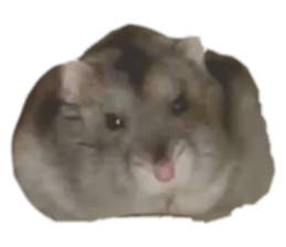 729627617