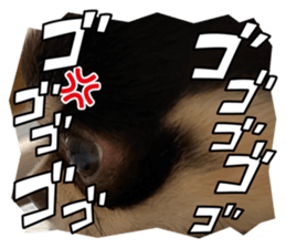 729634104
