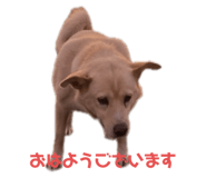 729634801